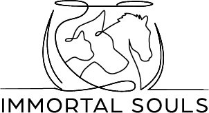 Immortal Souls